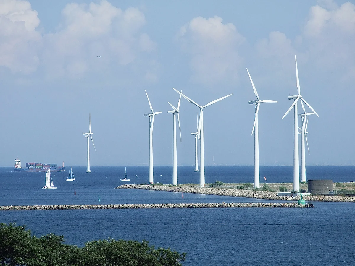 Vietnam’s Commitment to Shifting to Renewable Energy