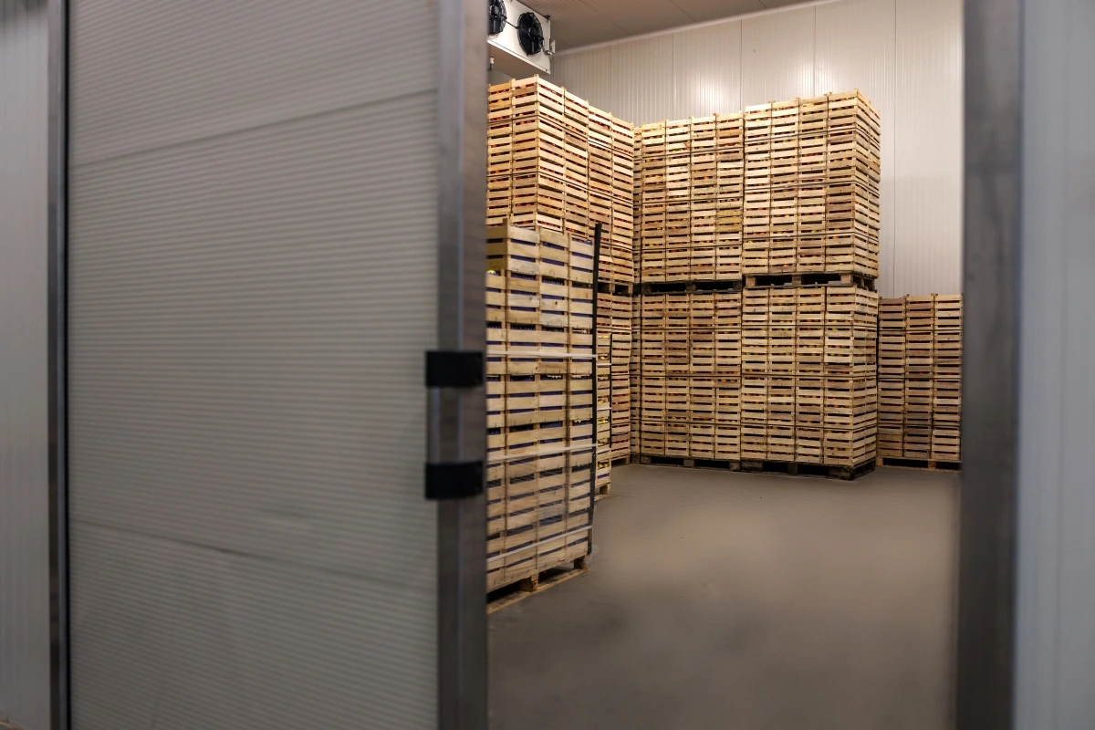 What Is Cold Chain Logistics