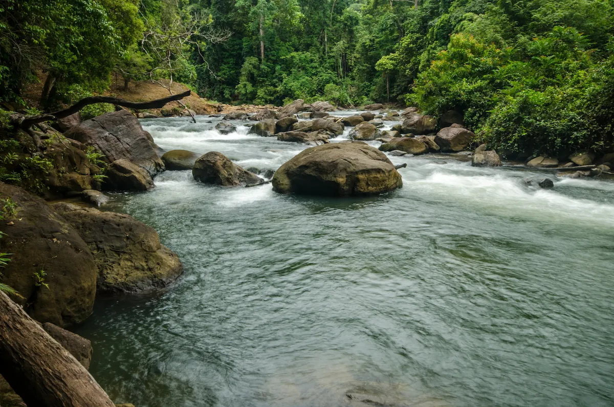 Sources of Raw Water