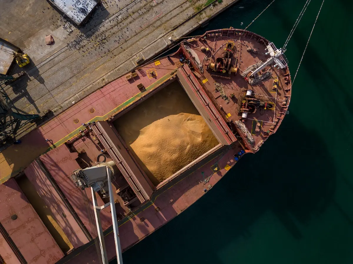 Functions of the Cargo Hold