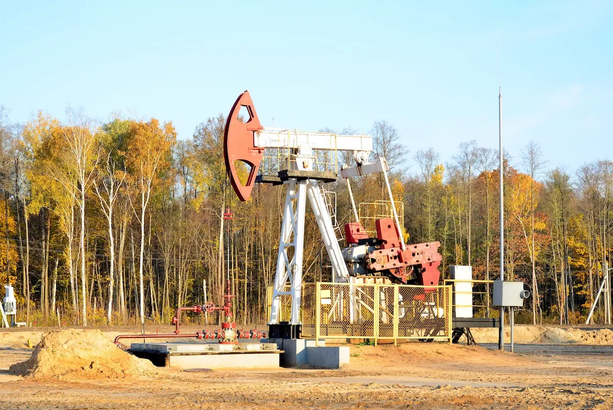 The Structure of a Hydrocarbon Reservoir