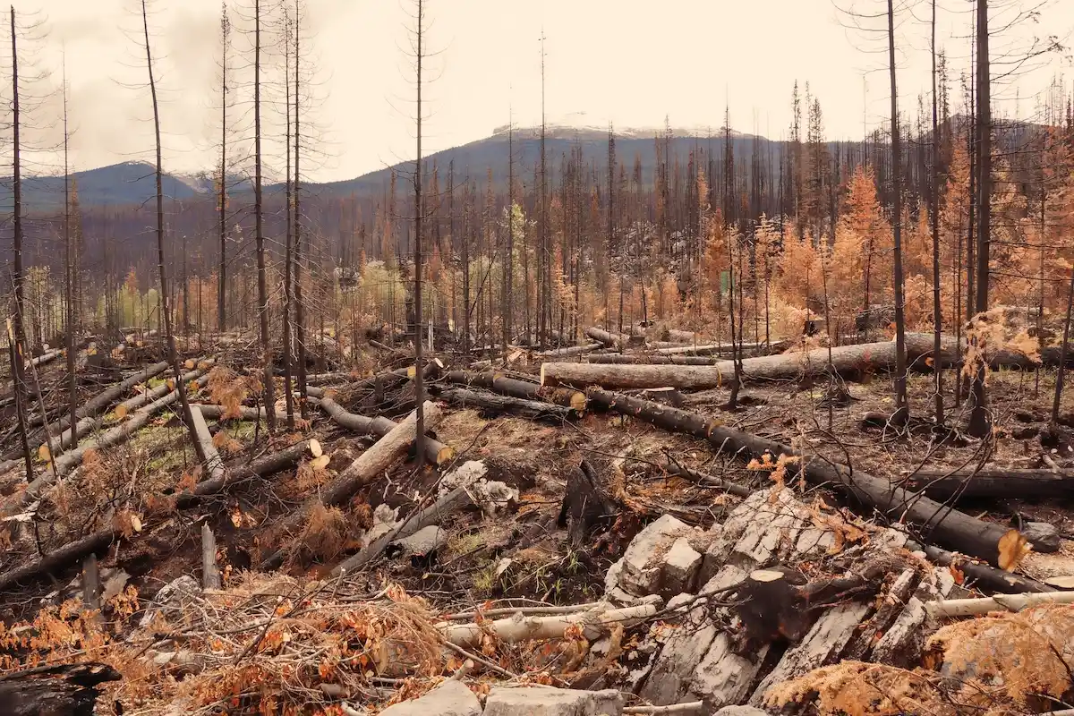 The Impacts of Greenhouse Gas Emissions