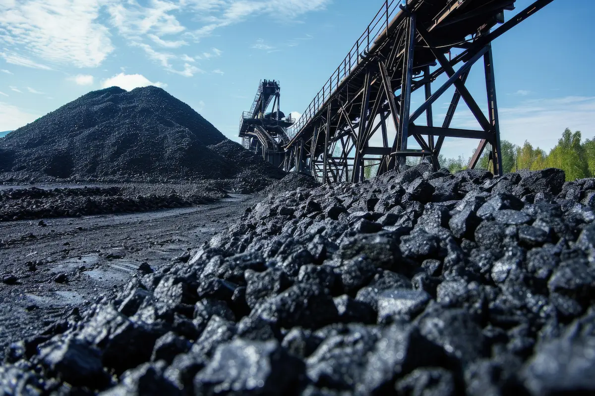 What Is Coal