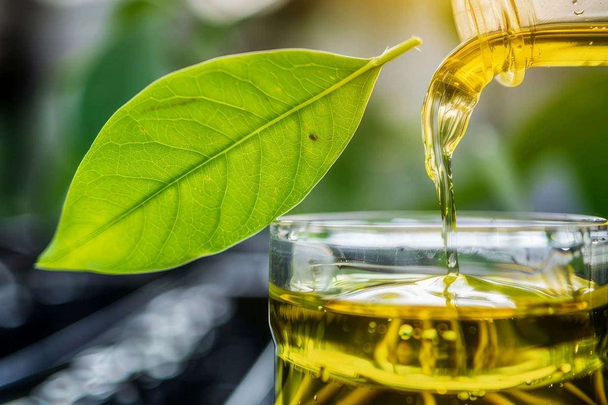How to Produce Biomass Energy