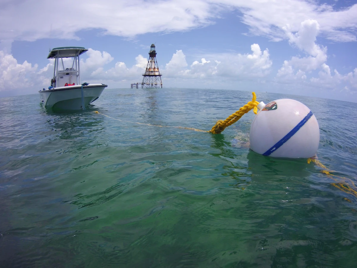 Buoys and Flags